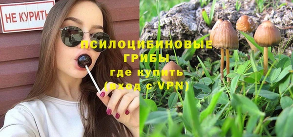 тгк Михайлов